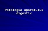 Patologia Aparatului Digestiv 1