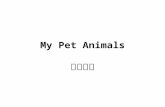 My Pet Animals