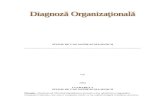 Www.referate.ro-diagnoza Organizationala - Studiu de Caz Satisfactia Muncii 210d5