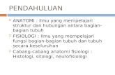 1. Anatomi Dan Fisiologi 2. Sel, Jaringan, Otot
