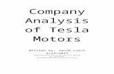Tesla Motors Strategic Issue