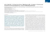 A CXCL1 Paracrine Network Links Cancer Chemoresistance and Metastasis