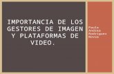 Plataformas de vídeo y gestores de imagenes