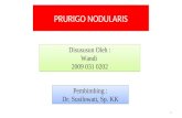 Prurigo-nodularis Dr Sussy