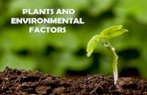 03. PLANTS AND ENVIRONMENT FACTORS_03.ppt