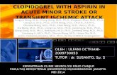 Clopidogrel With Aspirin in Acute Minor Stroke Or