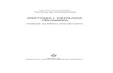 Sylwanowicz, Michajlik, Ramotowski - Anatomia i Fizjologia Czlowieka
