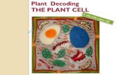 Plant decoding