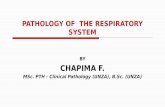 Pathology of the Respiratory System 2