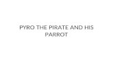 Pyro the Pirate and His Parrot