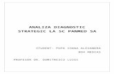ANALIZA DIAGNOSTIC STRATEGIC LA SC PANMED SA 97-2007.doc