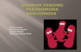QUORUM SENSING PSEUDOMONA AERUGINOSA.pptx