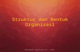 Struktur Dan Bentuk Organisasi