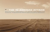 In Amenas Report