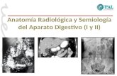 1. Anatomía y semiología básica del Abdomen.ppt