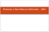 Motores a Gas Natural Vehicular – GNV