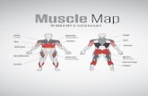 Muscle Map by Neila Rey A4
