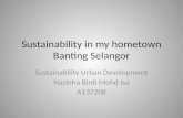 Sustainability in My Hometown