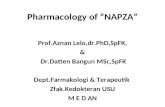 K19 - Pharmacology of NAPZAeded