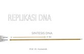 Replikasi dan Sintesis DNA