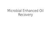 Microbial Enhanced Oil Recovery 1