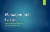 Management Laktasi