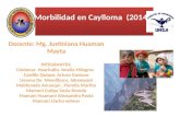 DIAPOSITIVAS Morbilidad-en-Caylloma-2014 (2).pptx