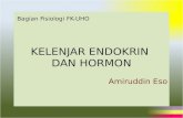KELENJAR ENDOKRIN&HORMON.pptx