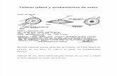 Colares Island y Avistamientos de Ovnis Caso Real 1977