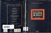 WOLKMER, Antônio Carlos. História Do Direito No Brasil