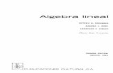 Algrebra Lineal (Linear Algebra) (547P) Stephen Friedberd