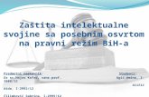 Zaštita Intelektualne Svojine Sa Posebnim Osvrtom Na Pravni Režim BiH-A
