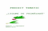 proiect tematic