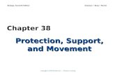Ch38_lecture Protection, Support, Movement