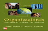 Organizaciones Comportamiento, Estructura y Procesos