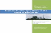 Biomass Price Analysis Report_main Report