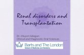 Renal Diseases (2)