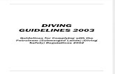 Guidelines for Complying With the PSLArev20050801110638