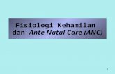 Fisiologi Kehamilan & Anc