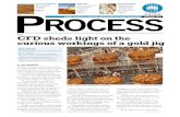 ProcessFeb10 CPSE PDF Standard