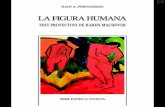 Manual La Figura Humana