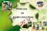 Perdida Biodiversidad