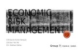 Economic Risk Management