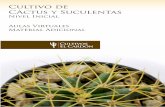 Cultivo de Cactus y Suculentas