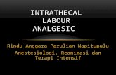 Intrathecal Labour Analgesic Hermina