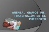 Anemia, Grupos RH, Transfusión en El Pp