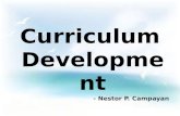 Curriculum Development 2015