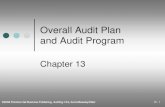 Overall Audit Plan and Program - Arens-Beasley-Elder