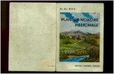 1- Dr. Al. Buia - Plantele Noastre Medicinale - 136