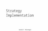 Implementation of strategies